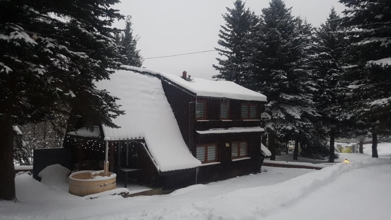 Лоджи Oliwne Wzgórza Bolesławów-4